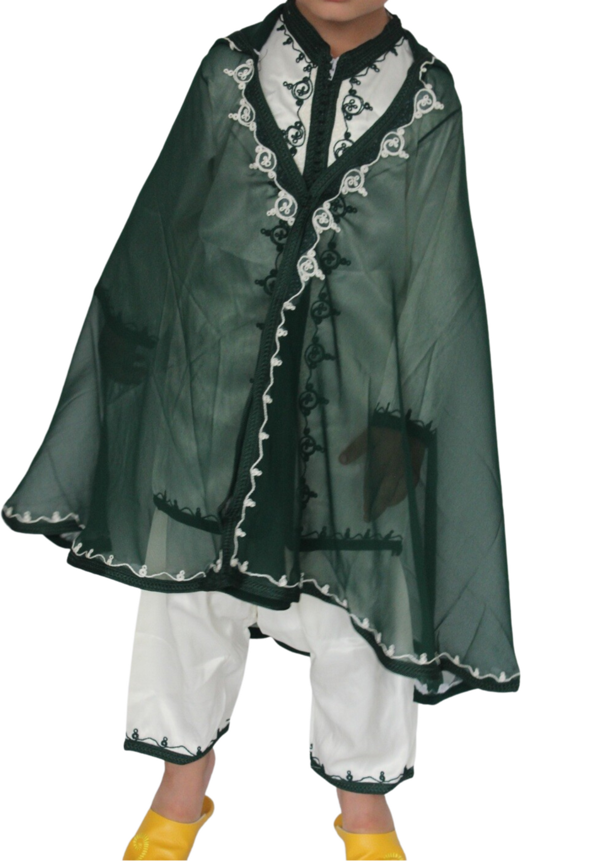 Groen Jabador ontmoette Selham